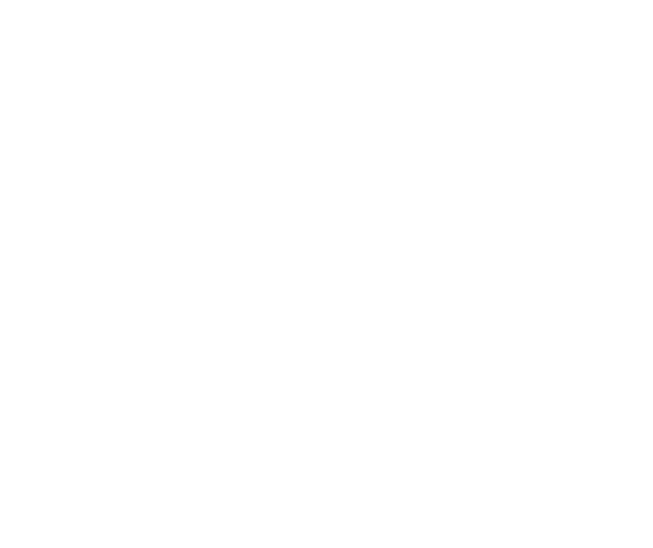 Schaerbeek